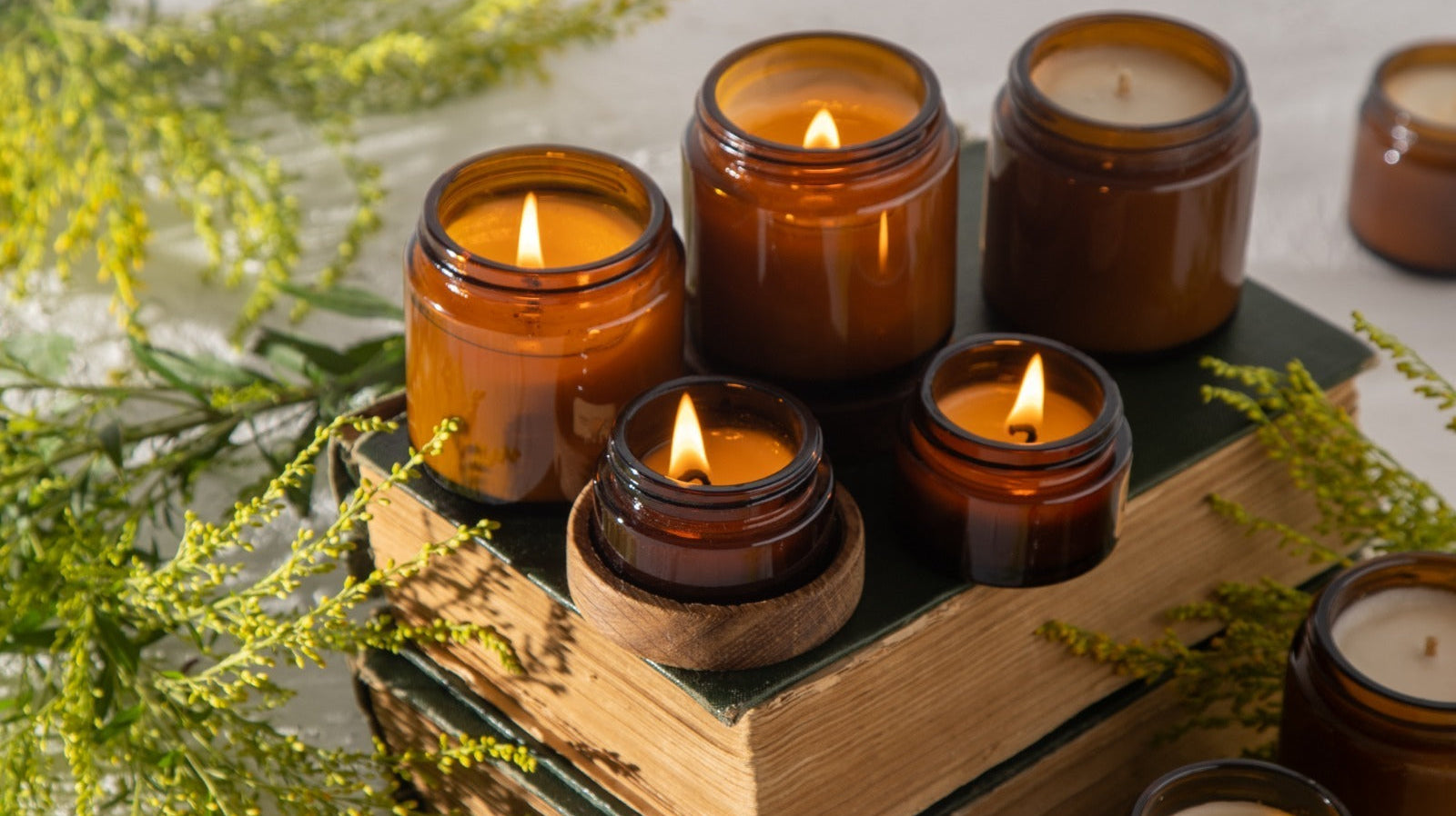 Top-Rated Scented Candles in Florida