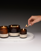 all sizes of amber santal collection