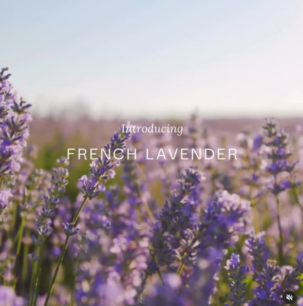 instagram photo, french lavender