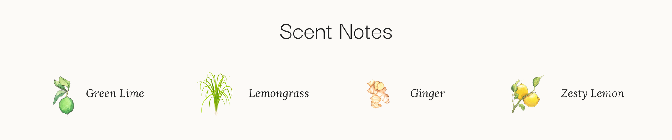 citron vert scent notes, lim, lemongrass, ginger, lemon