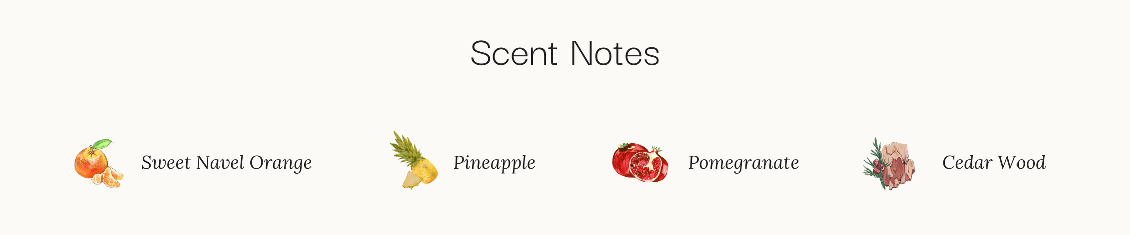 enlighten me scent notes, orange, pineapple, pomegranate, cedar