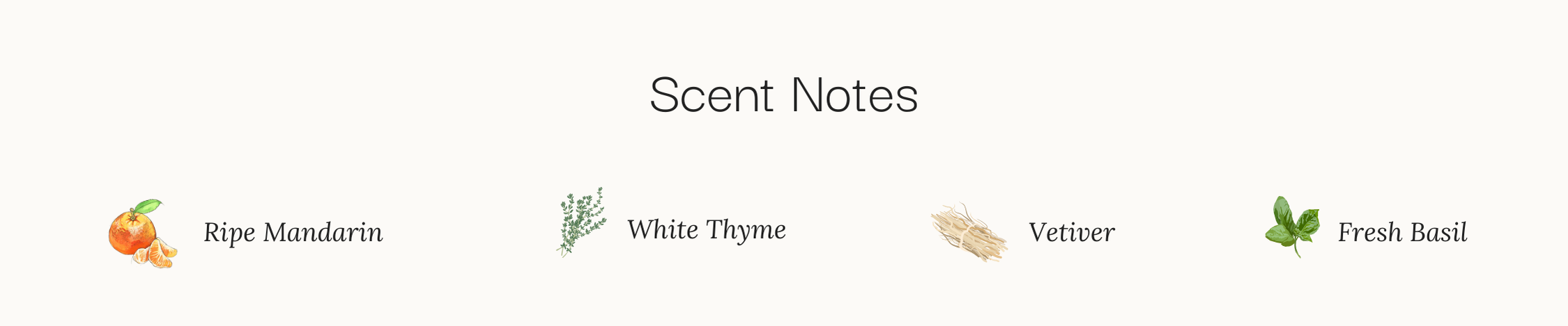 fall for me scent notes, mandarin, thyme, vetiver, basil