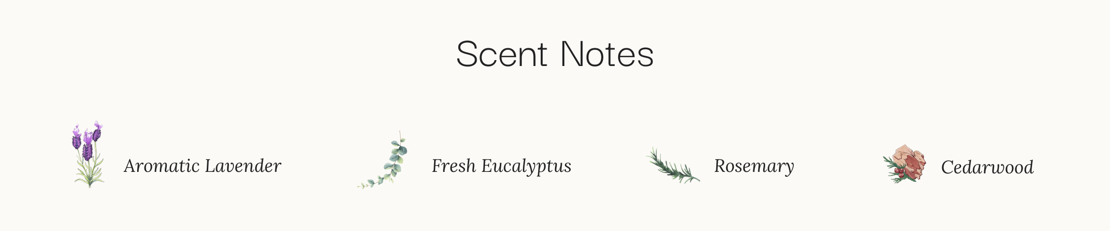 french lavender scent notes, eucalyptus, rosemary, cedarwood