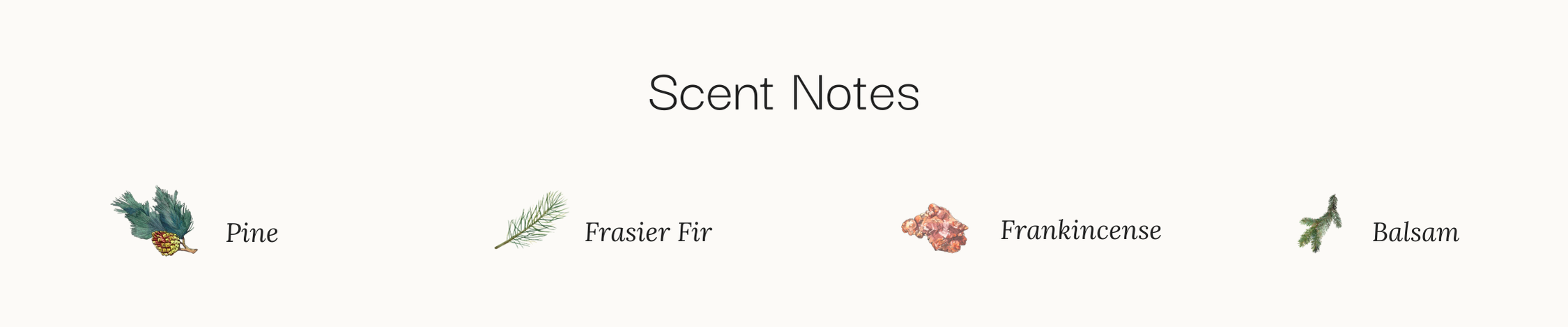 fresh woods scent notes, fir, pine, balsam
